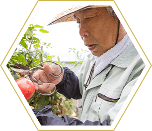 おやじ 忠良(父)